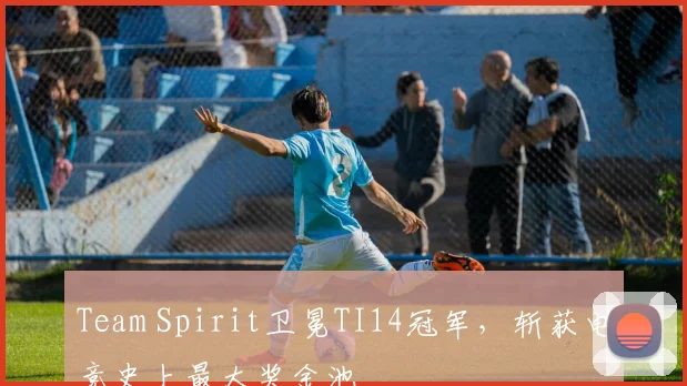 Team Spirit卫冕TI14冠军,斩获电竞史上最大奖金池