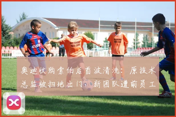 奥迪收购索伯后首波清洗:原技术总监被扫地出门,新团队遭前员工炮轰