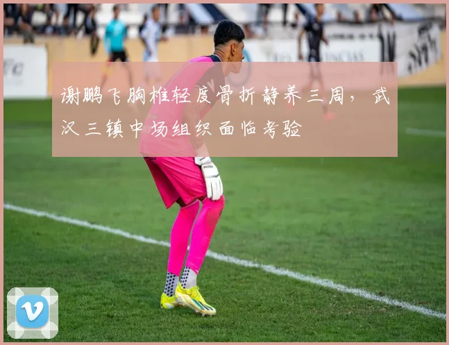 谢鹏飞胸椎轻度骨折静养三周,武汉三镇中场组织面临考验